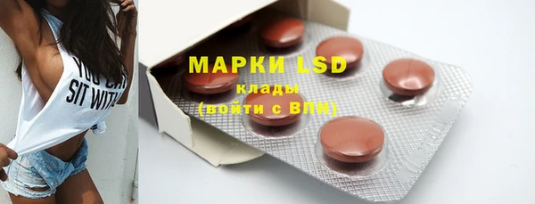 прущие грибы Мегион