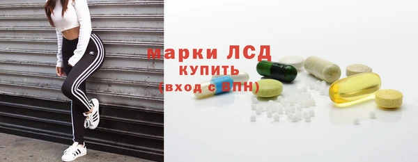 прущие грибы Мегион