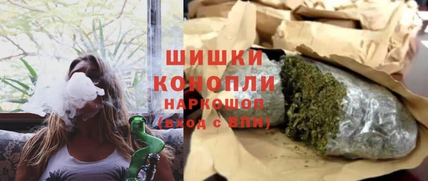 прущие грибы Мегион