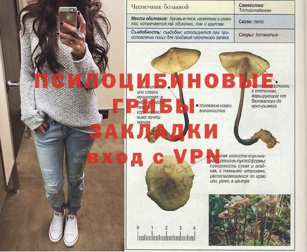 синтетический гашиш Медвежьегорск
