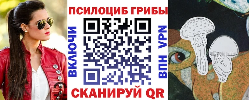где продают наркотики  Троицк  Псилоцибиновые грибы мицелий 