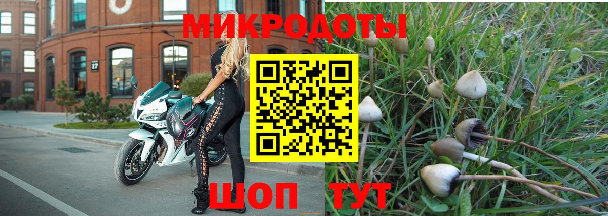 Галлюциногенные грибы MAGIC MUSHROOMS Троицк