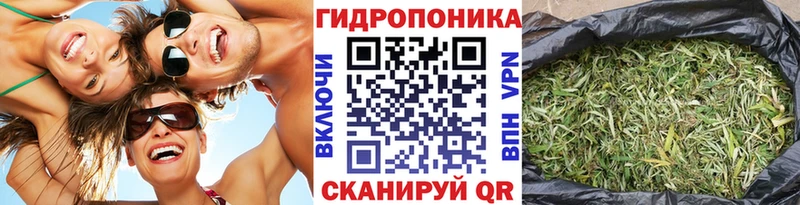 наркошоп  Троицк  Канабис OG Kush 